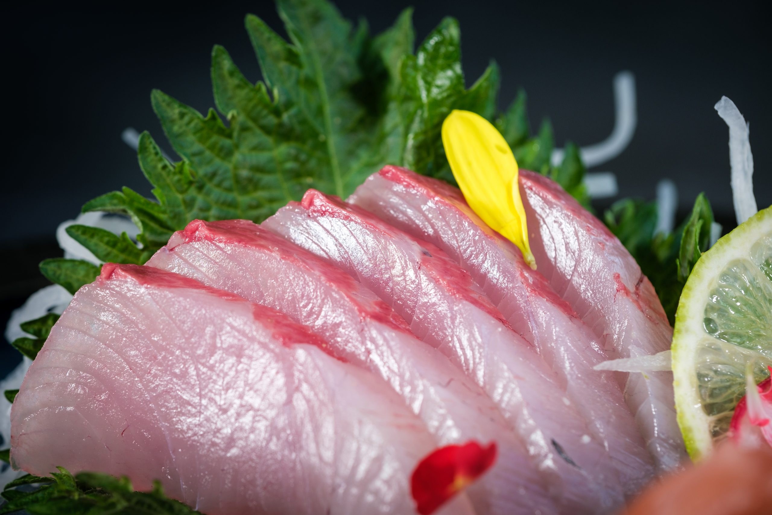 Close-up of premium sashimi